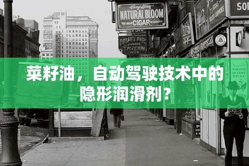 菜籽油，自动驾驶技术中的隐形润滑剂？