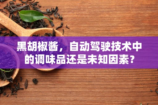 黑胡椒酱，自动驾驶技术中的调味品还是未知因素？