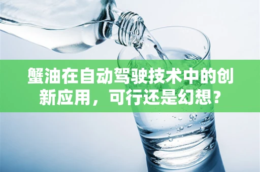 蟹油在自动驾驶技术中的创新应用，可行还是幻想？