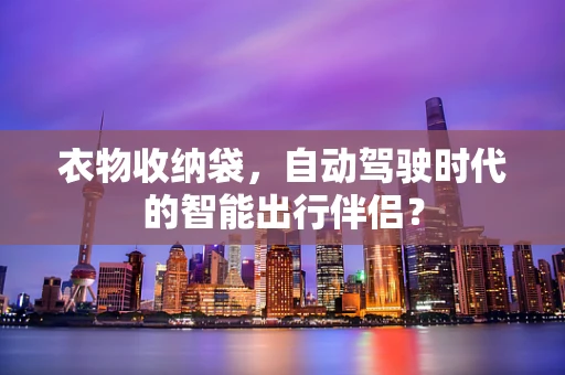 衣物收纳袋，自动驾驶时代的智能出行伴侣？