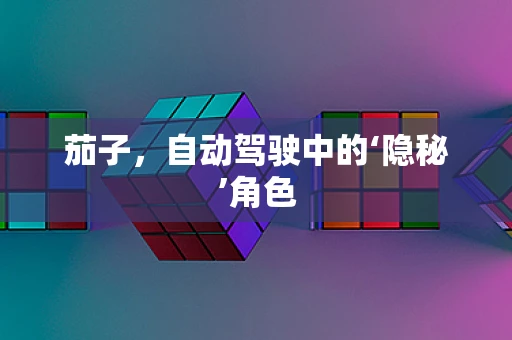 茄子，自动驾驶中的‘隐秘’角色