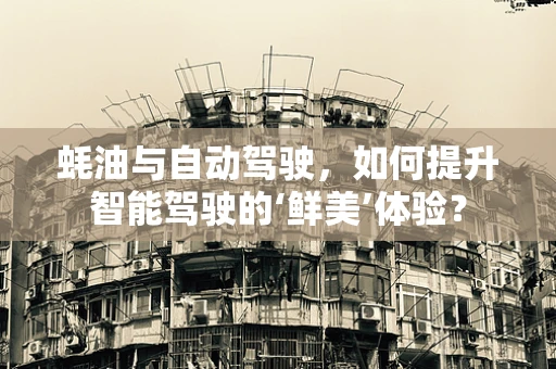 蚝油与自动驾驶，如何提升智能驾驶的‘鲜美’体验？