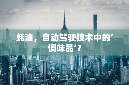 蚝油，自动驾驶技术中的‘调味品’？