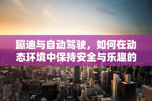 蹦迪与自动驾驶，如何在动态环境中保持安全与乐趣的平衡？
