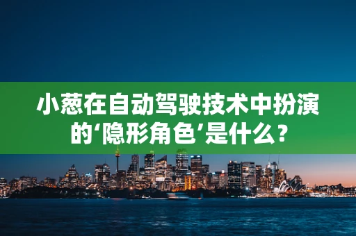 小葱在自动驾驶技术中扮演的‘隐形角色’是什么？