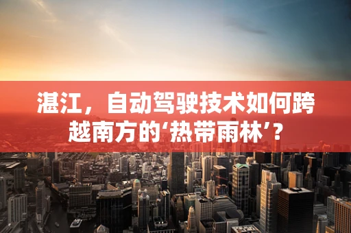 湛江，自动驾驶技术如何跨越南方的‘热带雨林’？