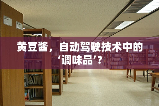 黄豆酱，自动驾驶技术中的‘调味品’？
