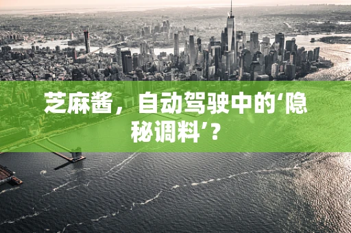 芝麻酱，自动驾驶中的‘隐秘调料’？