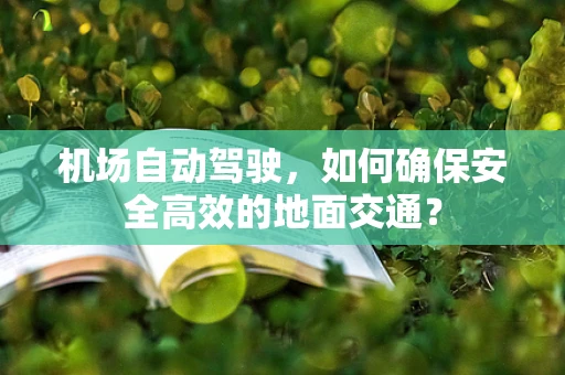 机场自动驾驶，如何确保安全高效的地面交通？