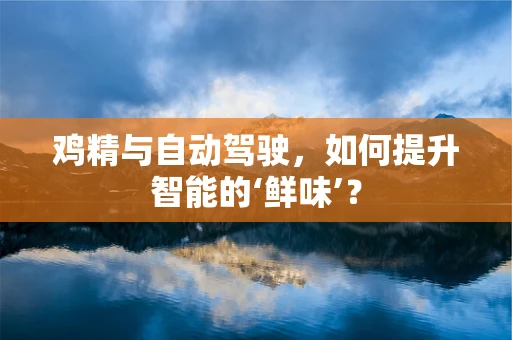 鸡精与自动驾驶，如何提升智能的‘鲜味’？