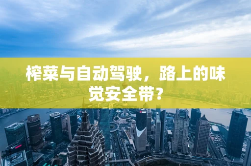 榨菜与自动驾驶，路上的味觉安全带？