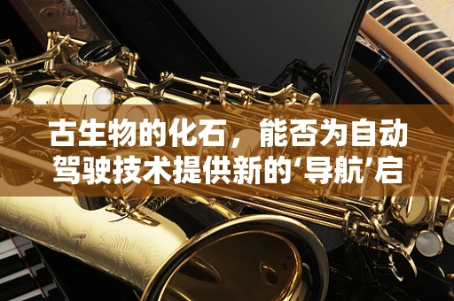 古生物的化石，能否为自动驾驶技术提供新的‘导航’启示？