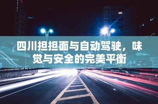 四川担担面与自动驾驶，味觉与安全的完美平衡