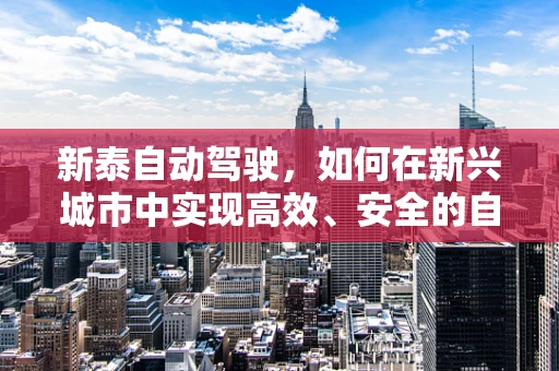 新泰自动驾驶，如何在新兴城市中实现高效、安全的自动驾驶部署？