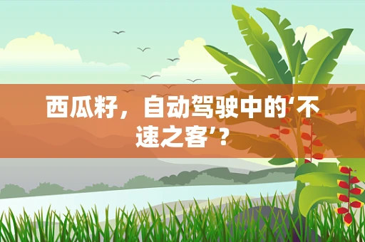 西瓜籽，自动驾驶中的‘不速之客’？