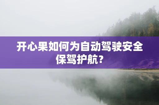 开心果如何为自动驾驶安全保驾护航？