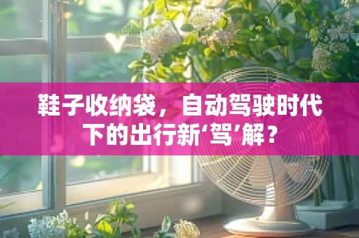鞋子收纳袋，自动驾驶时代下的出行新‘驾’解？