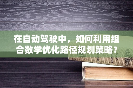 在自动驾驶中，如何利用组合数学优化路径规划策略？
