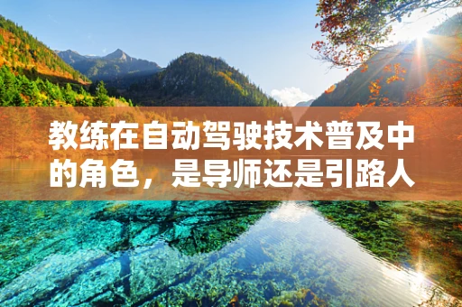 教练在自动驾驶技术普及中的角色，是导师还是引路人？