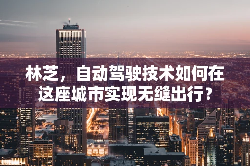 林芝，自动驾驶技术如何在这座城市实现无缝出行？