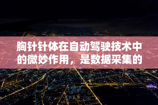 胸针针体在自动驾驶技术中的微妙作用，是数据采集的隐形触手吗？