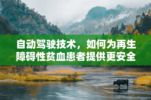 自动驾驶技术，如何为再生障碍性贫血患者提供更安全的出行环境？