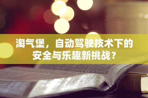 淘气堡，自动驾驶技术下的安全与乐趣新挑战？