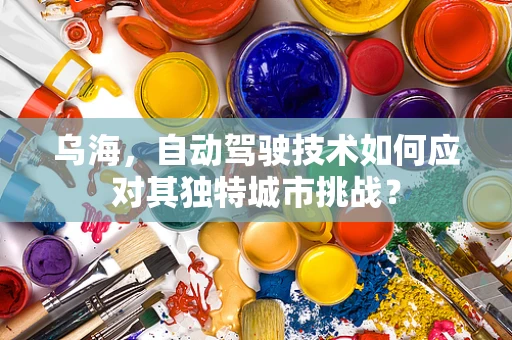 乌海，自动驾驶技术如何应对其独特城市挑战？