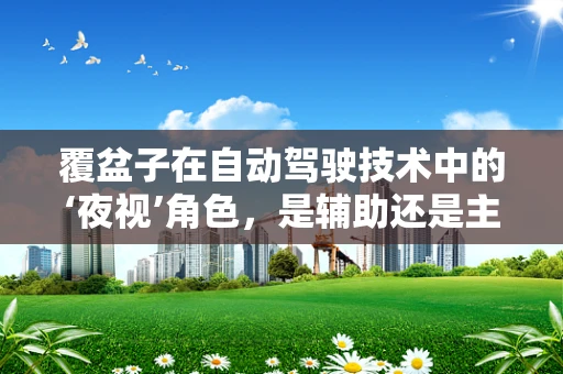 覆盆子在自动驾驶技术中的‘夜视’角色，是辅助还是主角？