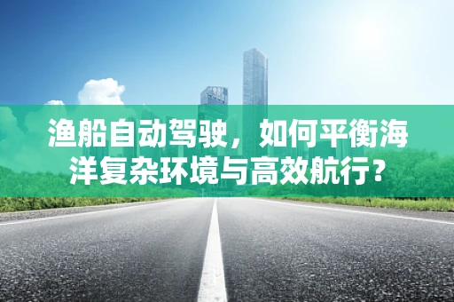 渔船自动驾驶，如何平衡海洋复杂环境与高效航行？