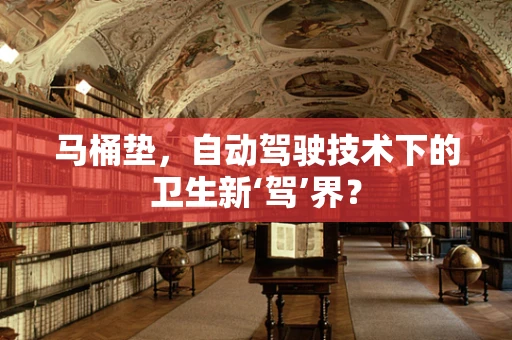 马桶垫，自动驾驶技术下的卫生新‘驾’界？