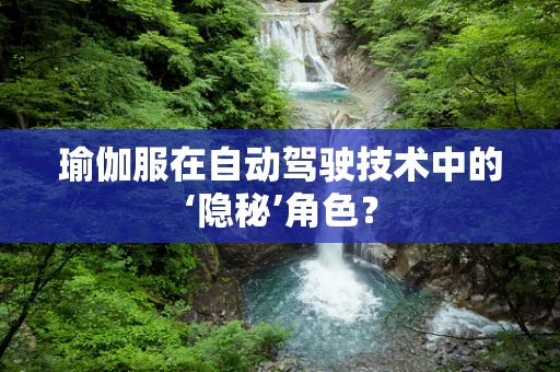 瑜伽服在自动驾驶技术中的‘隐秘’角色？