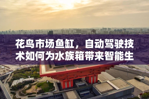 花鸟市场鱼缸，自动驾驶技术如何为水族箱带来智能生活？