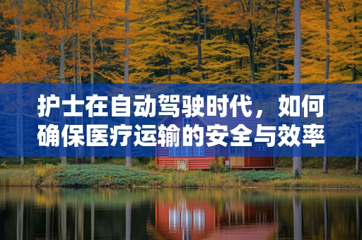护士在自动驾驶时代，如何确保医疗运输的安全与效率？