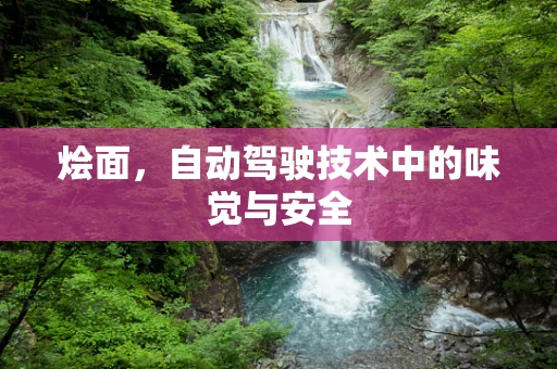 烩面，自动驾驶技术中的味觉与安全