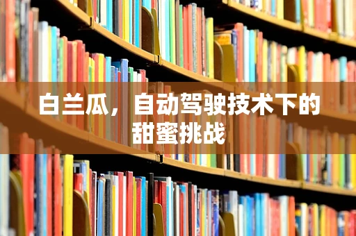 白兰瓜，自动驾驶技术下的甜蜜挑战