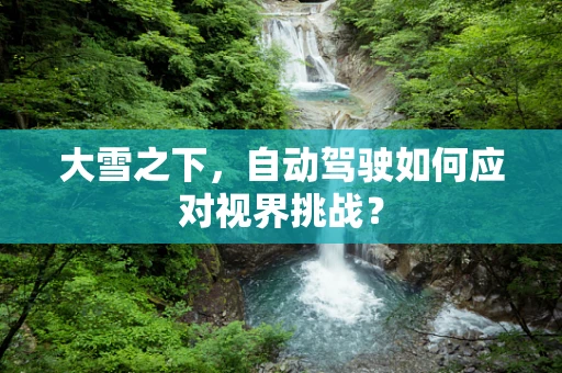 大雪之下，自动驾驶如何应对视界挑战？