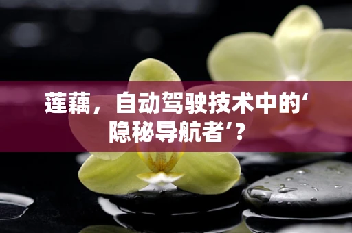 莲藕，自动驾驶技术中的‘隐秘导航者’？