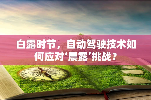 白露时节，自动驾驶技术如何应对‘晨露’挑战？