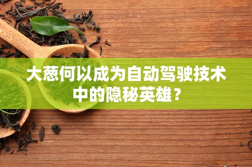 大葱何以成为自动驾驶技术中的隐秘英雄？