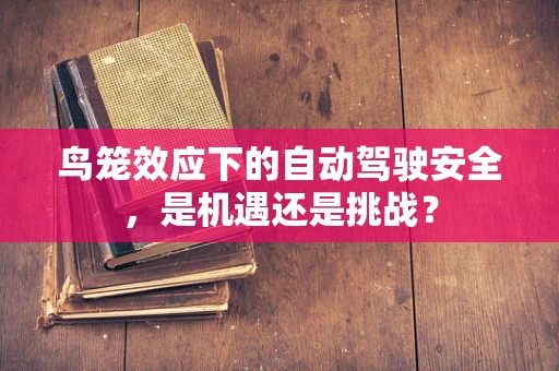 鸟笼效应下的自动驾驶安全，是机遇还是挑战？