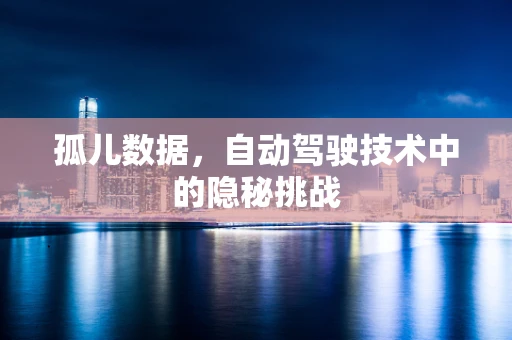 孤儿数据，自动驾驶技术中的隐秘挑战