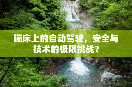 蹦床上的自动驾驶，安全与技术的极限挑战？
