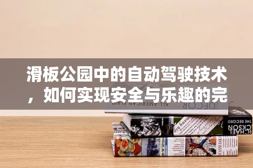 滑板公园中的自动驾驶技术，如何实现安全与乐趣的完美结合？