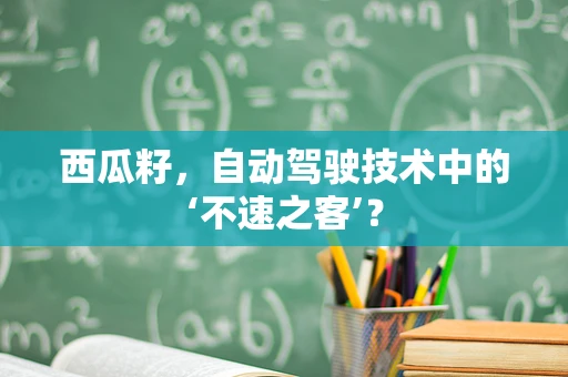 西瓜籽，自动驾驶技术中的‘不速之客’？