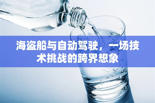 海盗船与自动驾驶，一场技术挑战的跨界想象