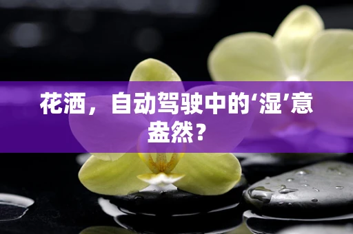 花洒，自动驾驶中的‘湿’意盎然？