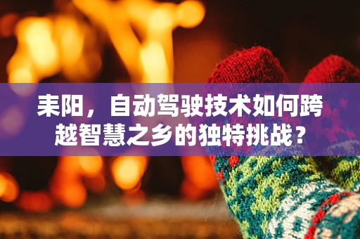 耒阳，自动驾驶技术如何跨越智慧之乡的独特挑战？