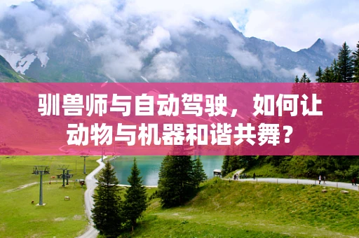 驯兽师与自动驾驶，如何让动物与机器和谐共舞？