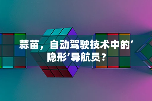 蒜苗，自动驾驶技术中的‘隐形’导航员？